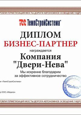 Диплом Бизнес Партнера
